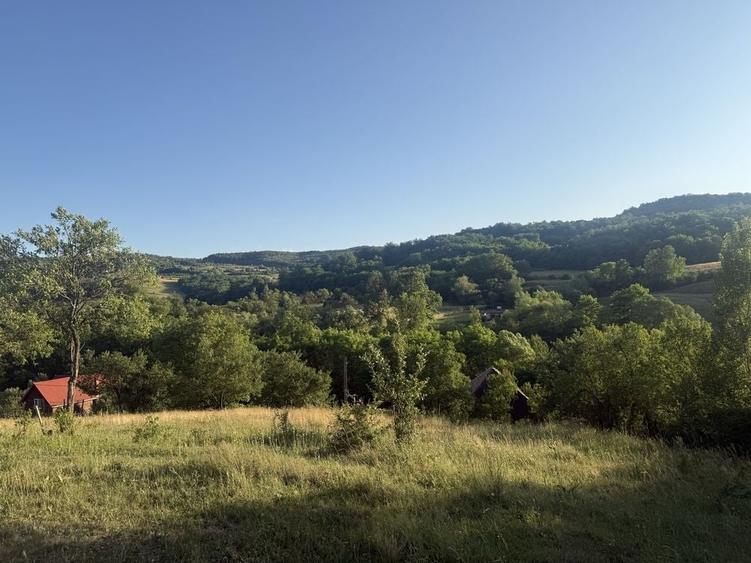 Teren de 7300 mp, în Șardu