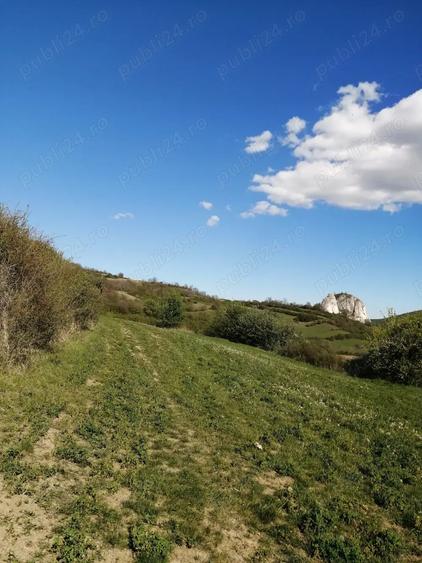 Teren de 4100 mp, în Ampoița