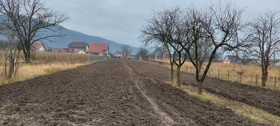 Teren în Brănișca