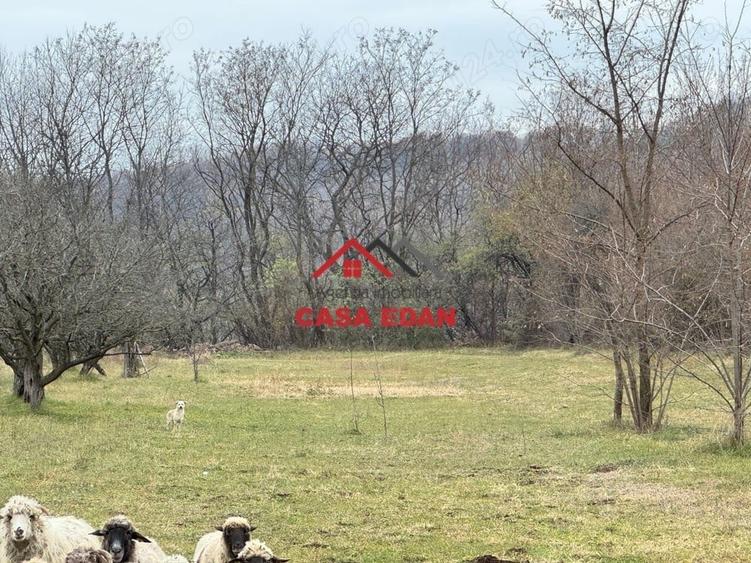 Casă cu Teren 2080 Mp în Brebu