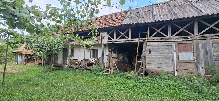 Teren de 10000 mp, în Foleștii de Jos