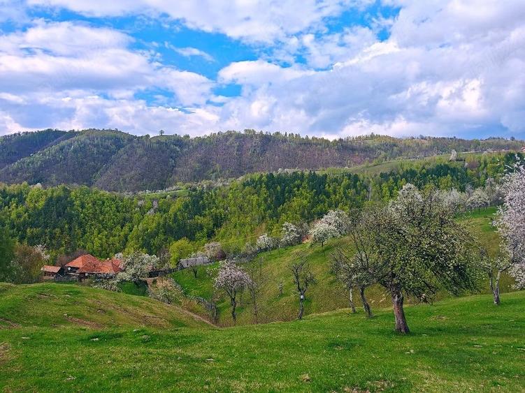 Casă cu 4 camere cu Teren 49690 Mp în Boș