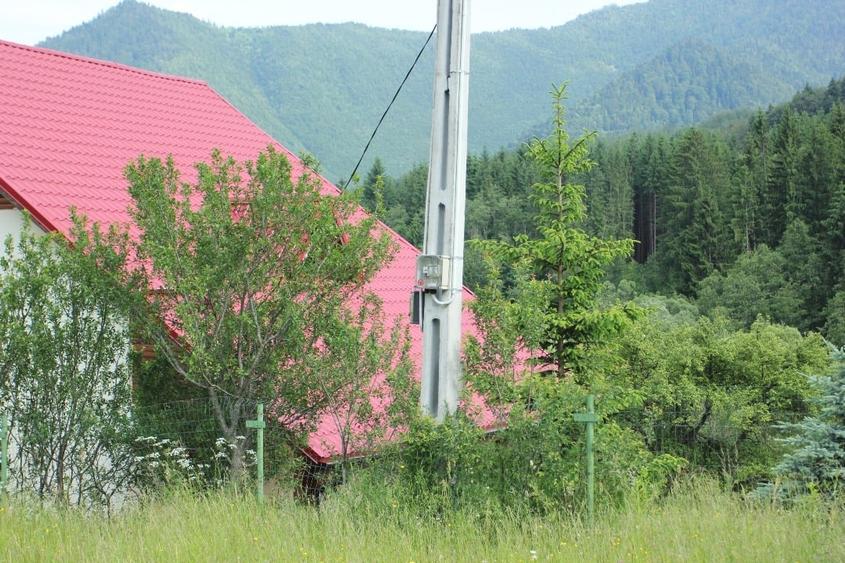 Teren Construcții intravilan de 7700 mp, în Greșu