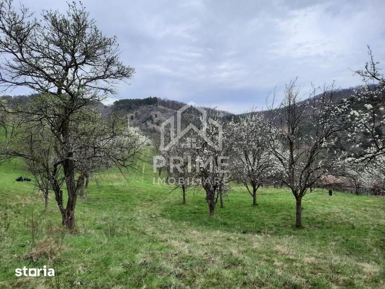 Teren de 13700 mp, în Vințu de Jos