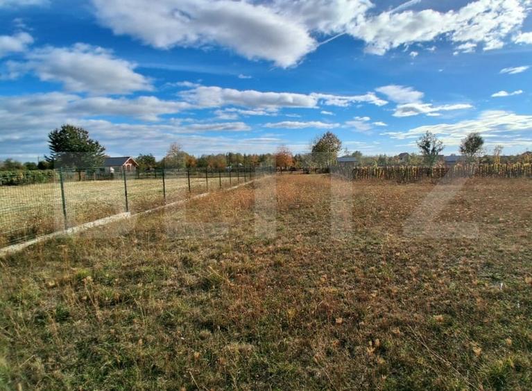 Teren agricol extravilan de 2423 mp, în Baia de Fier