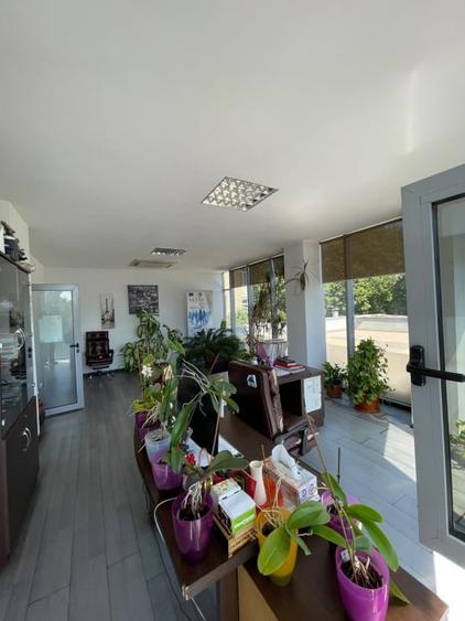 Spațiu comercial, de 660 mp, în Calea Severinului