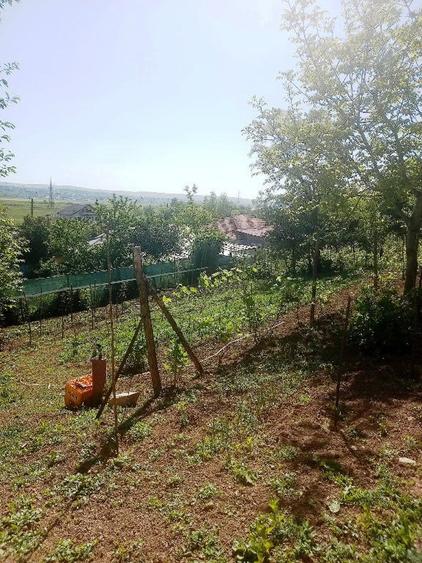 Casă cu 2 camere cu Teren 1100 Mp în Brodoc