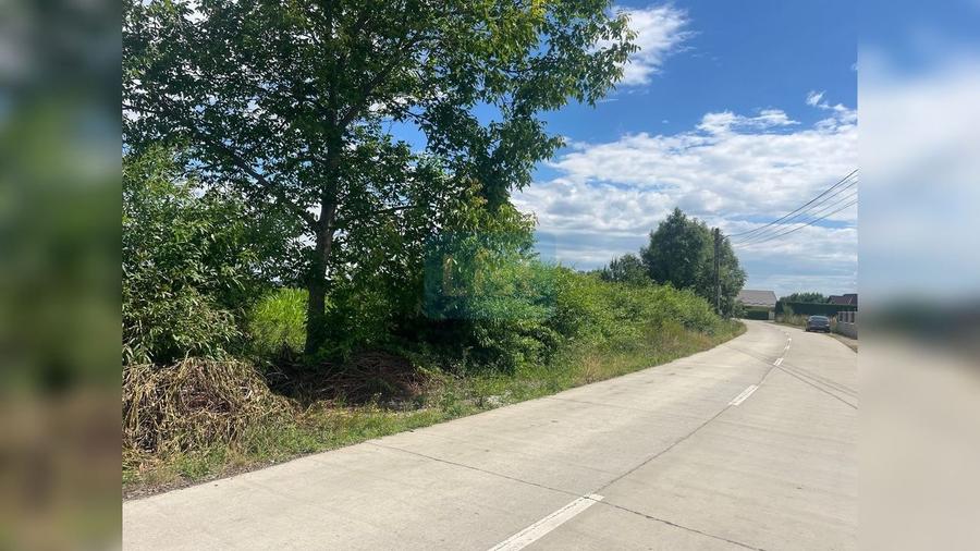 Teren Construcții intravilan de 5194 mp, în Frătăuții Vechi