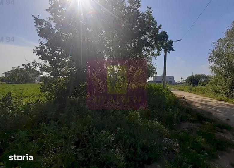 Teren de 5000 mp, în Copăceni