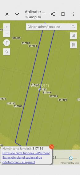 Vand teren agricol in Pecica( Turnu) 3,9 ha(fara contract cu arendas)