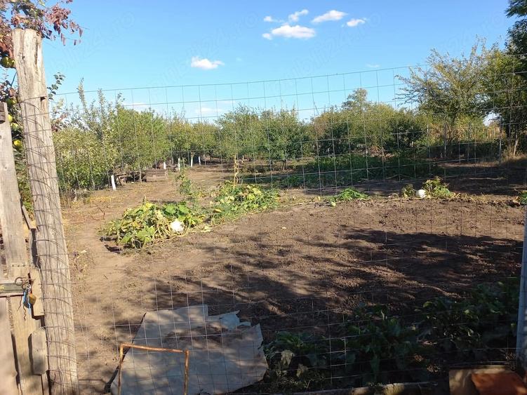 Casă cu Teren 1800 Mp în Drăgănești-Vlașca