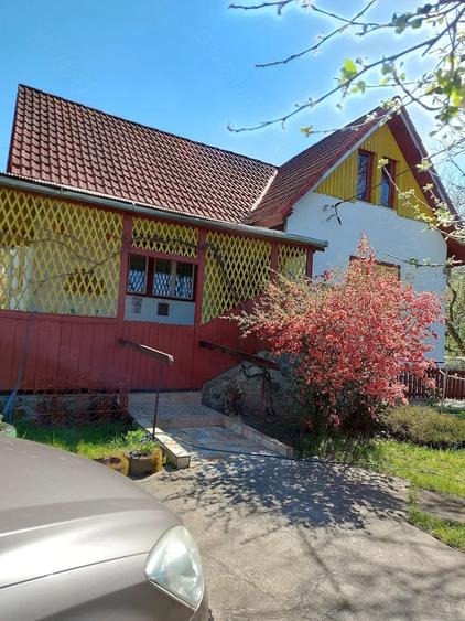 Casă cu 3 camere cu Teren 4000 Mp în Zimbor