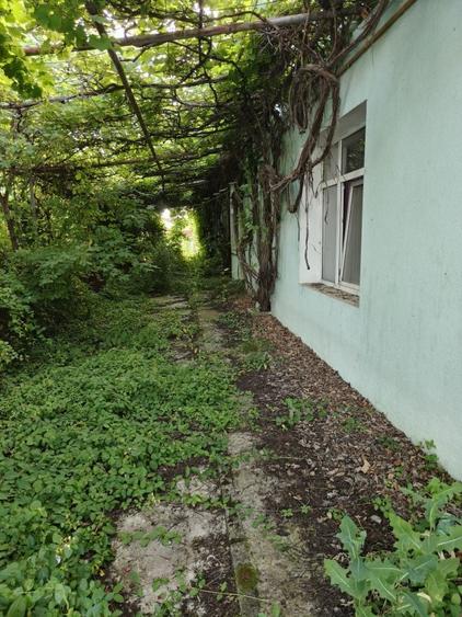 Casă cu 4 camere cu Teren 2826 Mp în Sânpetru