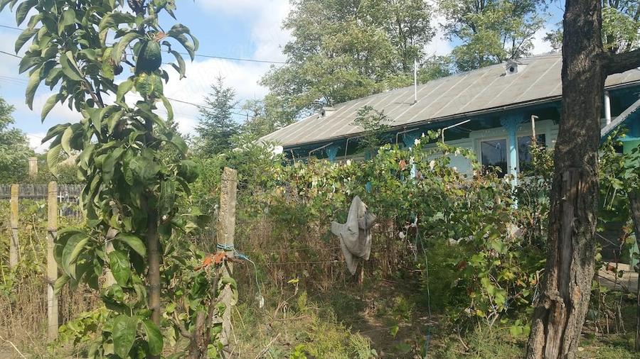 Casă cu 3 camere cu Teren 8000 Mp în Stuhuleț