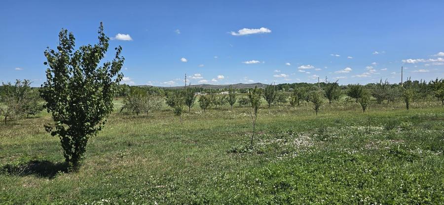 Teren Construcții intravilan de 23020 mp, în Răscruci