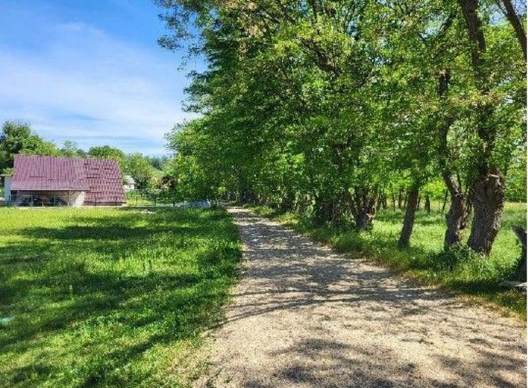 Teren extravilan arabil Tisau, ID: R2590475 - 10