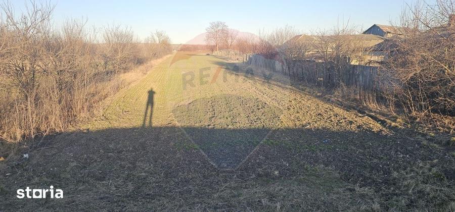 Teren de 6972 mp, în Găiceana