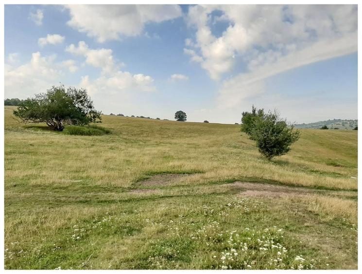 Teren agricol extravilan de 2500000 mp, în Șercaia