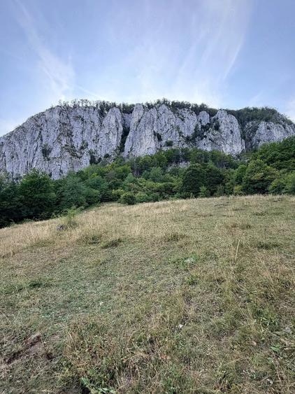 Teren de 3000 mp, în Ciuruleasa