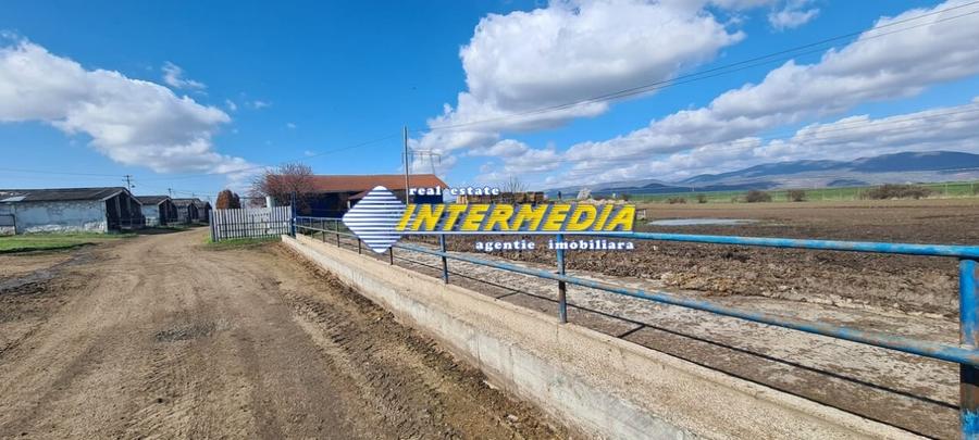 Casă individuală cu 20 camere cu Teren 35000 Mp în Pianu