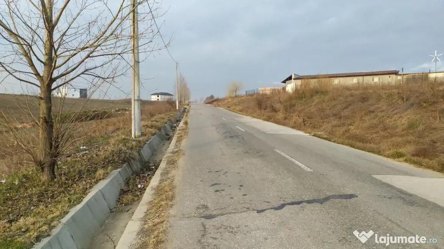 Teren de 10000 mp, în Pielești