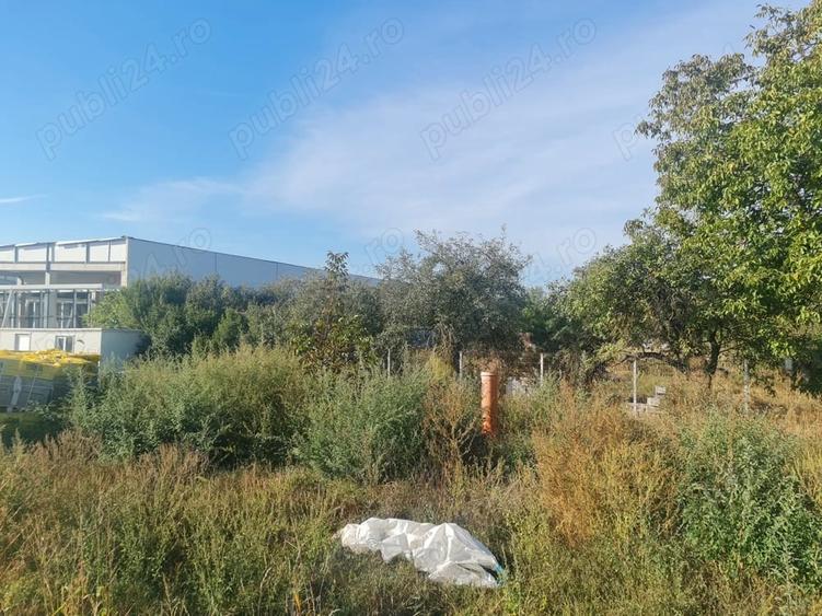 Teren de 3229 mp, în Bucovăț (Remetea Mare)