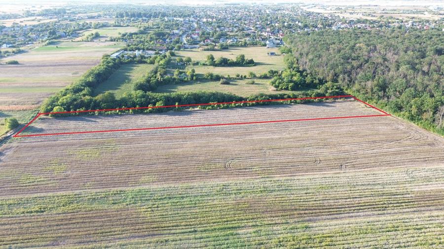 Teren Construcții intravilan de 9000 mp, în Bolintin-Deal