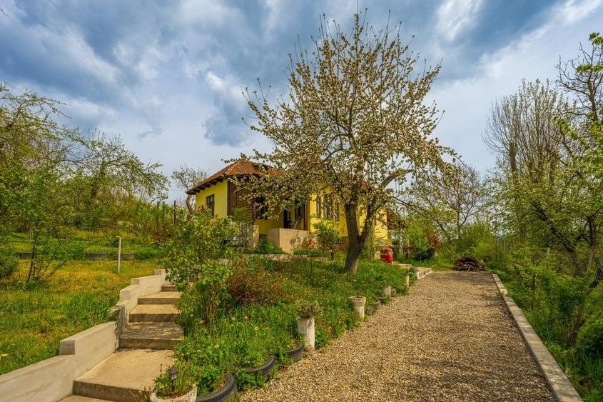 Casă cu 3 camere cu Teren 945 Mp în Sud