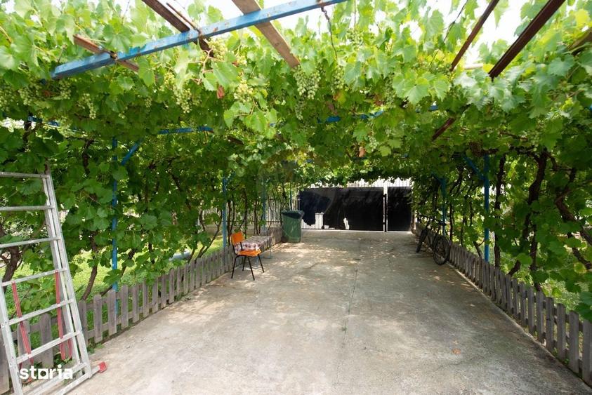 Casă cu 3 camere în Adunații-Copăceni