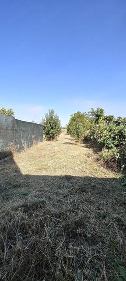 Casă cu Teren 619 Mp în Gogoșu