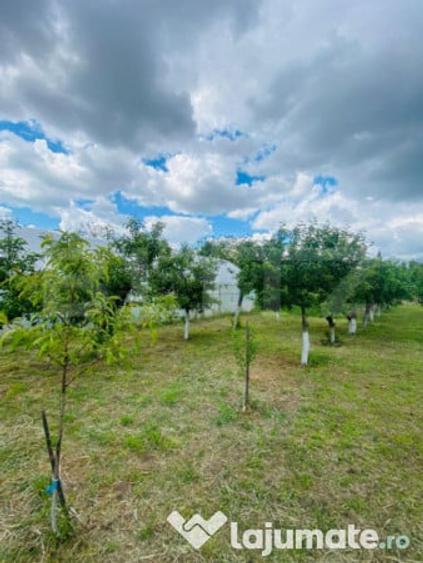 Casa pe parter, 2.753 mp teren, Marotinu de Sus, Celaru - 3