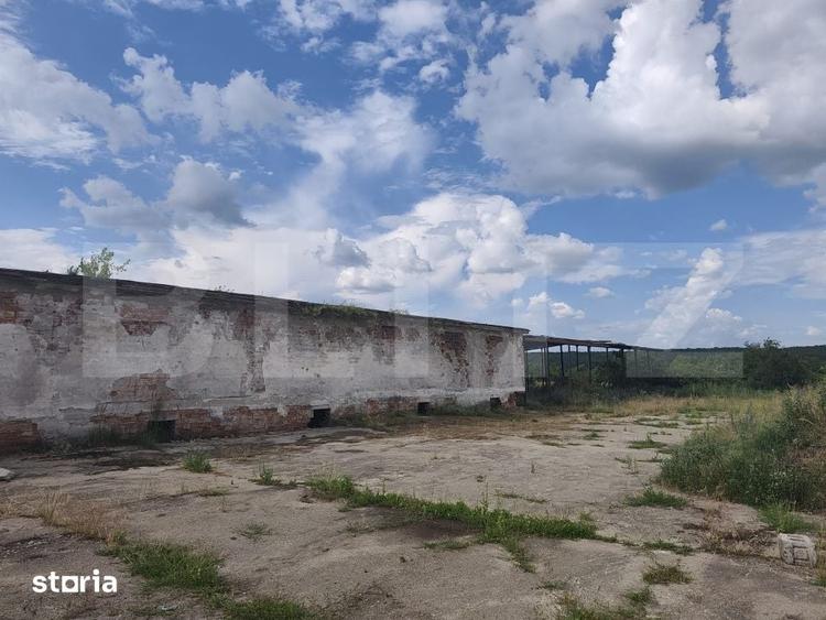 Teren de 8000 mp, în Dragomirești
