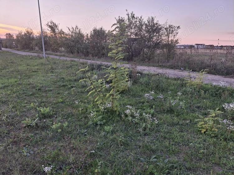 Teren de 457 mp, în Priseaca