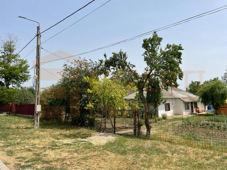 Teren Construcții intravilan de 2581 mp, în Mihail Kogălniceanu