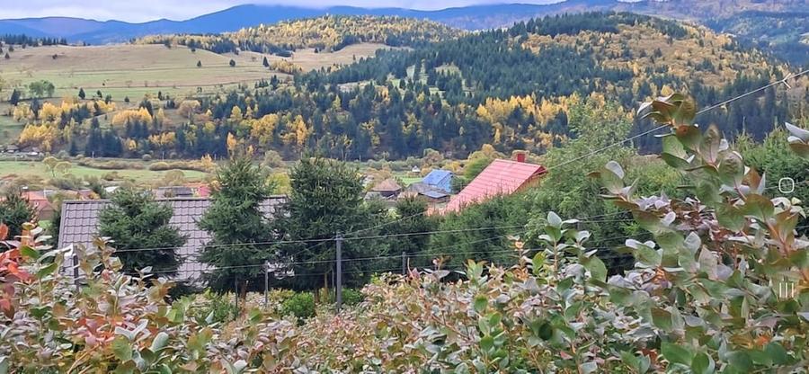 Casă cu Teren 3600 Mp în Călimănel