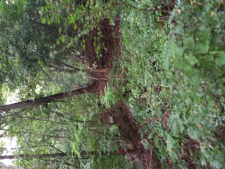 Teren de 27000 mp, în Mănăstirea