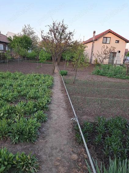 Casă cu 3 camere cu Teren 1203 Mp în Central