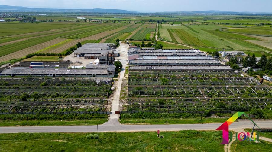 Spațiu industrial, de 100,000 mp, în Buhoci