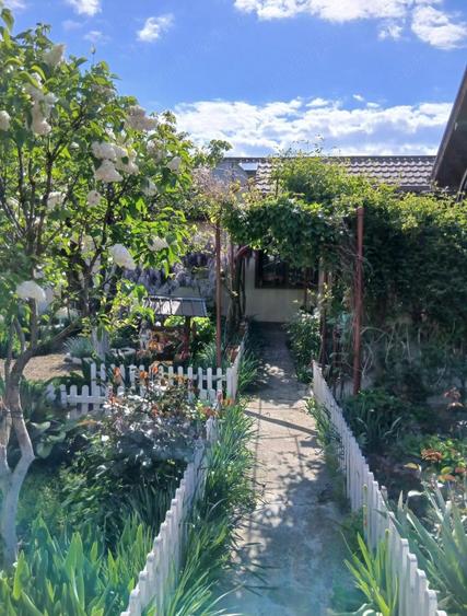 Casa de vanzare in apropiere de Bucure?ti - 5