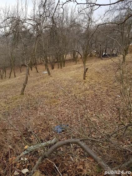 Teren de 1700 mp, în Olănești