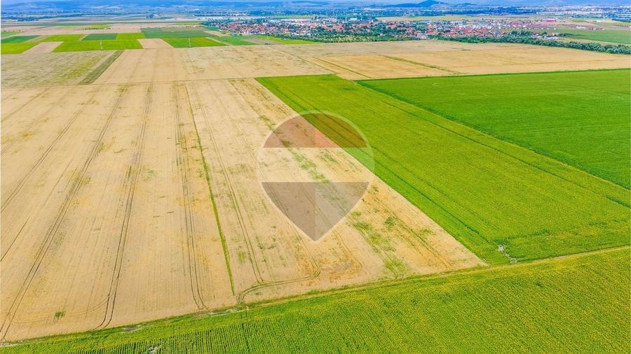 Teren agricol extravilan de 20000 mp, în Cristian