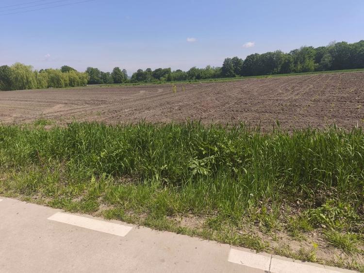 Teren agricol extravilan de 6300 mp, în Gălănești