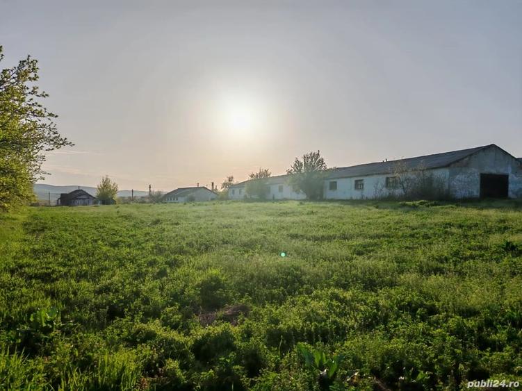 Teren de 7000 mp, în Laza