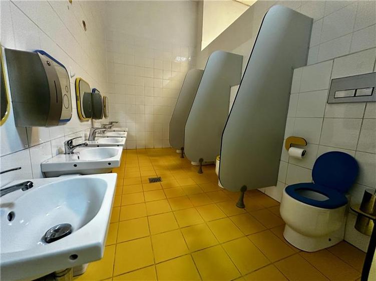 Spatiu comercial  de inchiriat  Pacurari, - 17