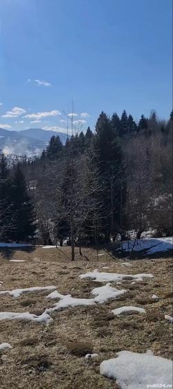 Teren de 3900 mp, în Sud