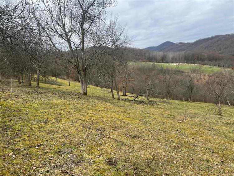 Teren intravilan de 11423 mp, în Luncoiu de Jos