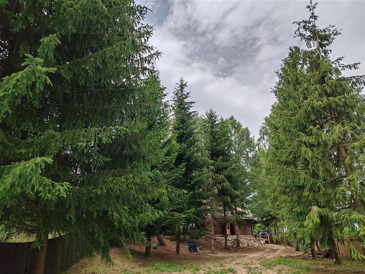 Casă cu 3 camere cu Teren 3300 Mp în Glăjărie