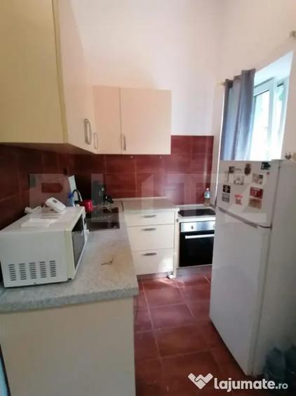 Apartament cu 2 camere, 50 mp, zona Semicentral - Emil Racov - 2
