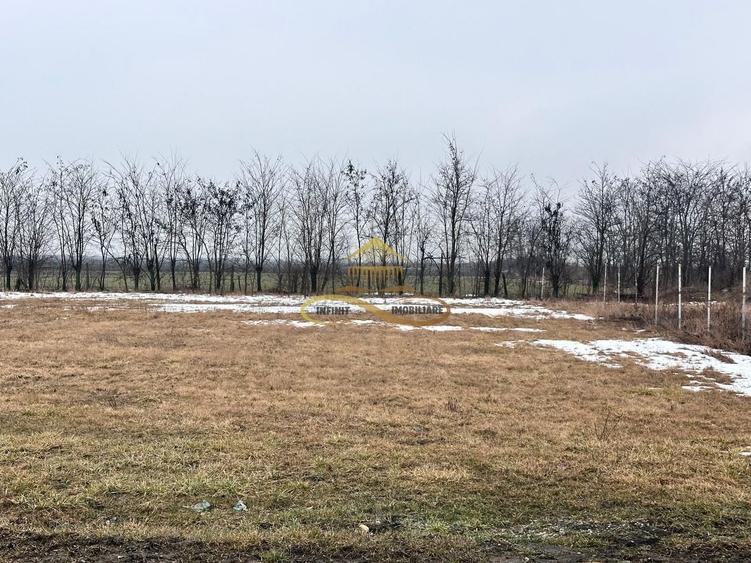 Teren Construcții intravilan de 900 mp, în Săucești