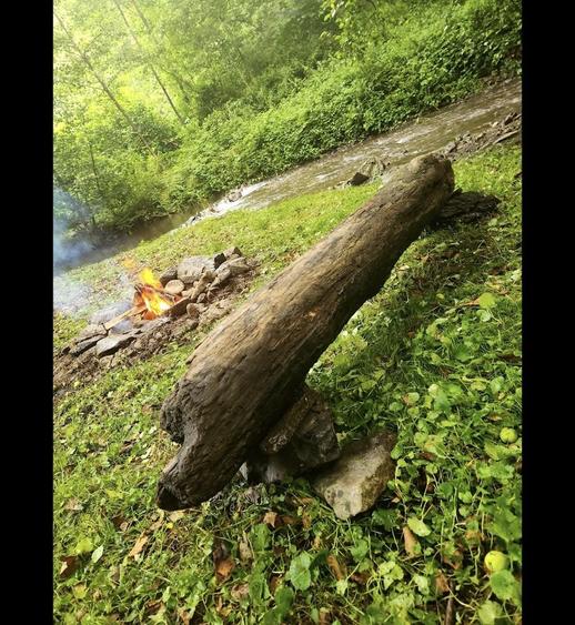 Teren de 341 mp, în Pădurea Neagră